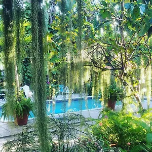 Orchid Guest house Kingston